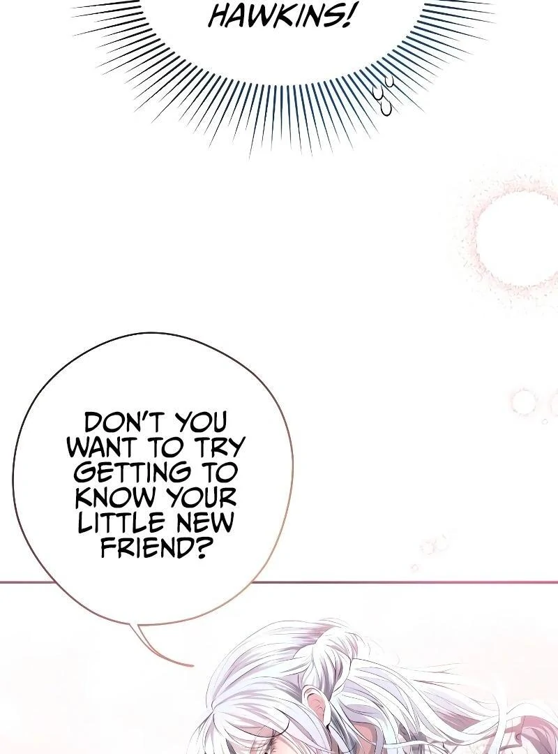 74288247 800 1080 76628